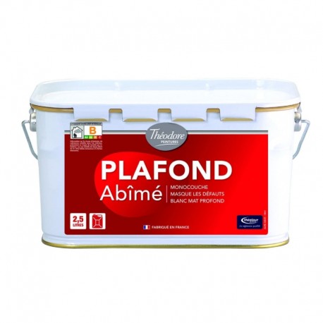 PEINTURE PLAFOND ABÎMÉ