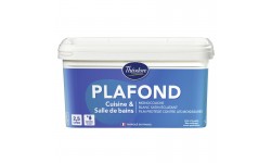 PEINTURE PLAFOND CUISINE & SALLE DE BAIN